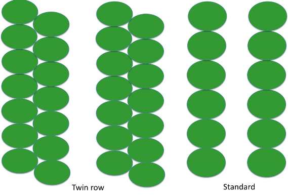 Twin row layout vs a single row layout