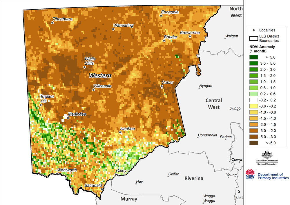 Figure 14. Monthly NDVI anomaly map for the Western Region (note data quality problems in NDVI data) For an accessible explanation of this map contact the author kim.broadfoot@dpi.nsw.gov.au