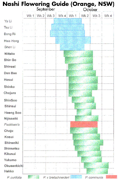 Nashi pear flowering guide Nashi pear flowering guide
