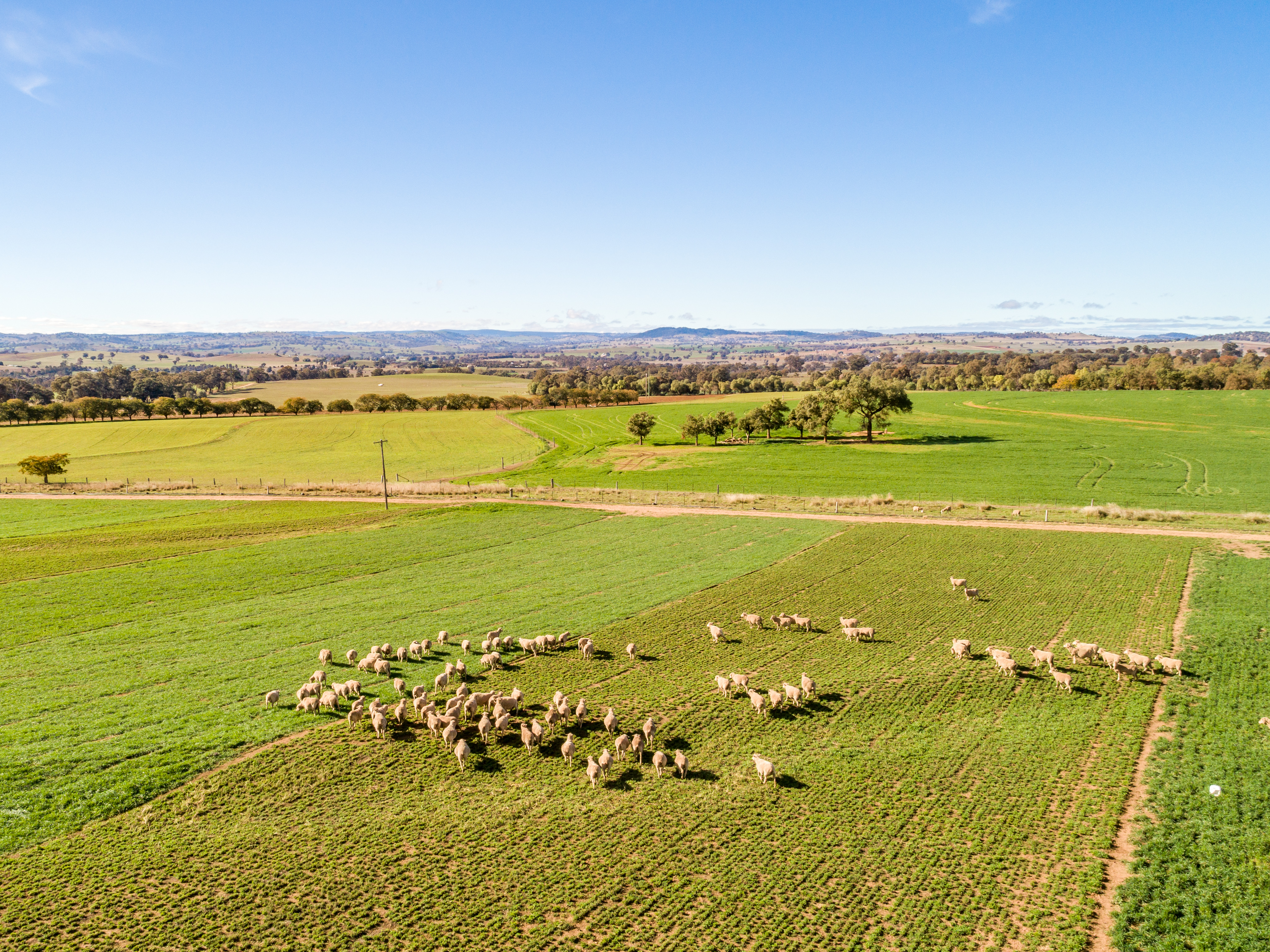 Aerial image at Cowra Agricultural Research and Advisory Station