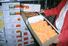 Export flowers
