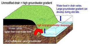 Figure 3 (above). A diagram representing the seepage of acid groundwater to a drain. Low tides cause the drain water level to drop lower than the groundwater. The larger the difference, or gradient, the more groundwater seepage. Figure 3 (above). A diagram representing the seepage of acid groundwater to a drain. Low tides cause the drain water level to drop lower than the groundwater. The larger the difference, or gradient, the more groundwater seepage.