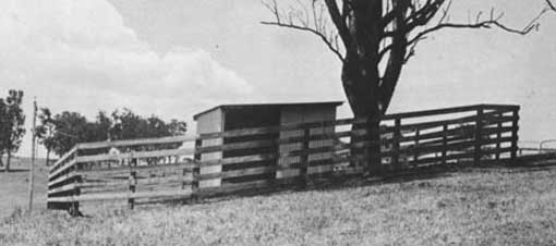 Teaser yard in a paddock