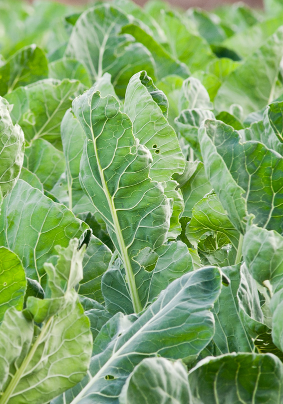 Feature Image