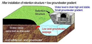 Figure 4 (above). Keeping drain water levels high can reduce groundwater gradients and greatly decrease the amount of acid groundwater seepage. Figure 4 (above). Keeping drain water levels high can reduce groundwater gradients and greatly decrease the amount of acid groundwater seepage.