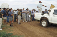 NSW DPI provides advice to local horticulturalists 